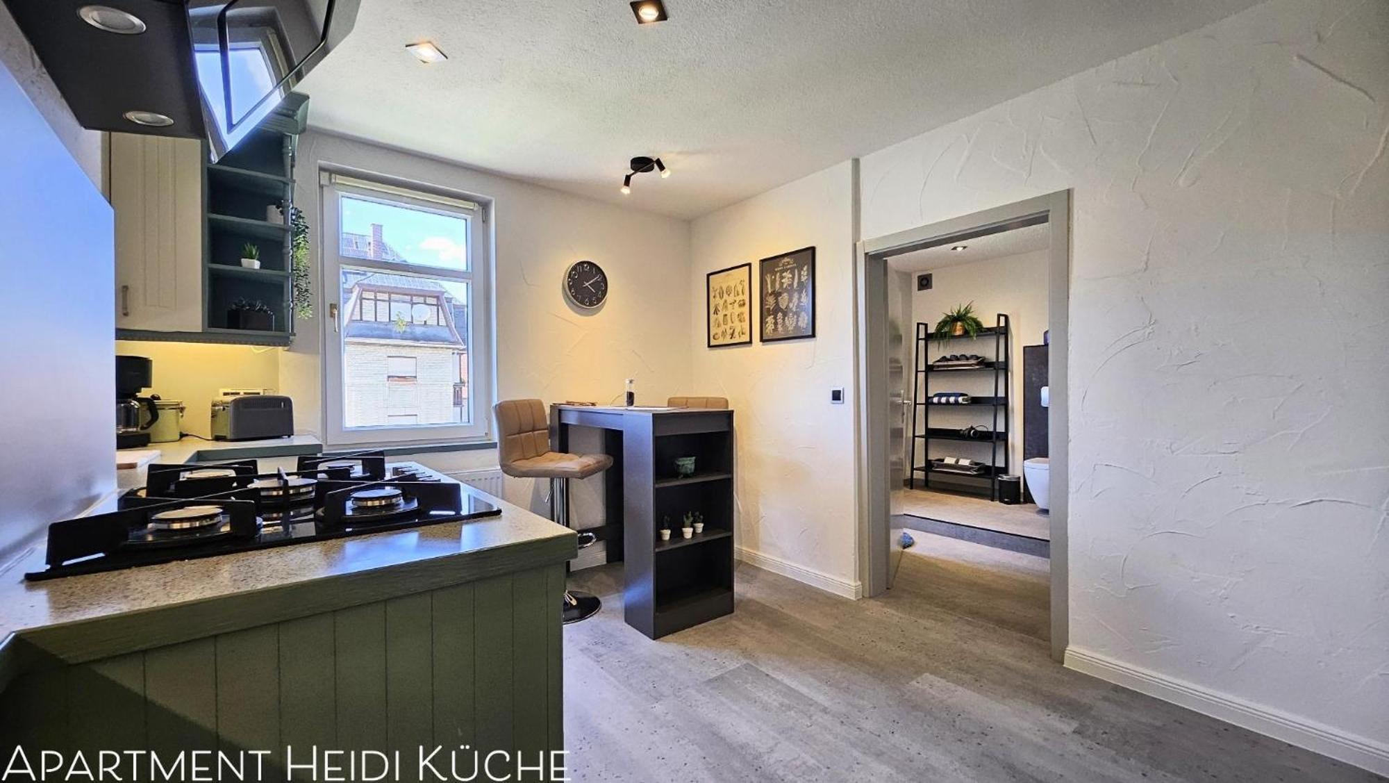 Apartments Am Saalebogen Mit Gartenterrasse, Grillkamin, Freie Parkplaetze รูโดลชตัดท์ ภายนอก รูปภาพ